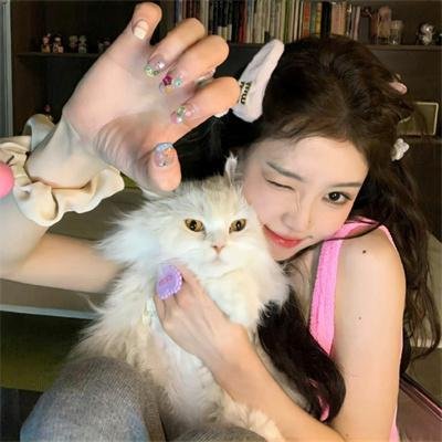 状王宋世杰2粤语